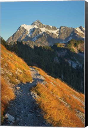 Framed Mount Shuksan North Cascades Print