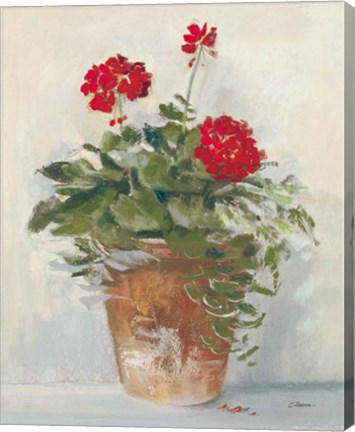 Framed Potted Geraniums II Light Print