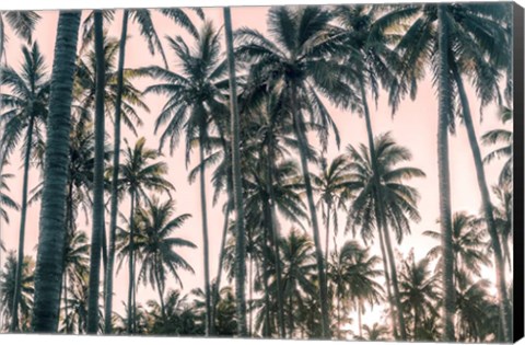 Framed Palms View on Pink Sky I Print