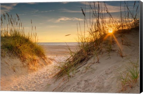 Framed Coastal Dunes Print