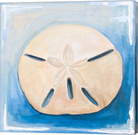 Framed Sand Dollar on Blue Print