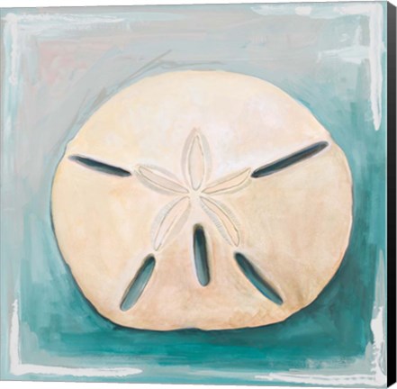 Framed Sand Dollar on Teal Print