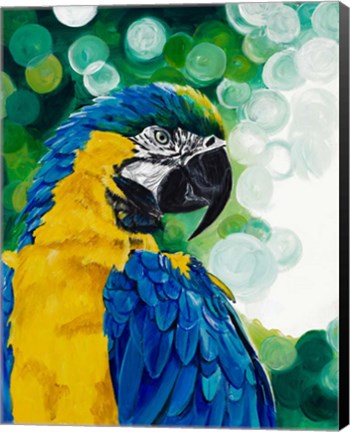 Framed Brilliant Parrot Print