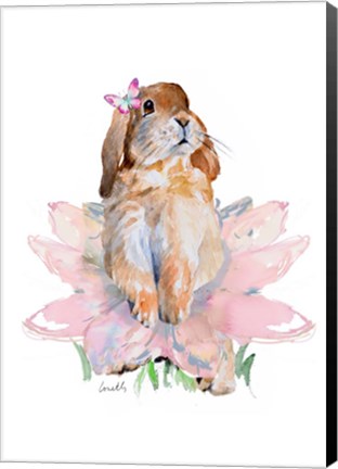 Framed Ballet Bunny III Print