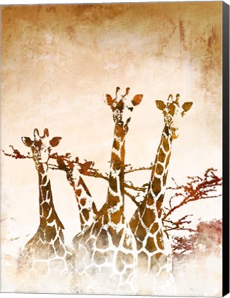 Framed Safari Giraffe II Print