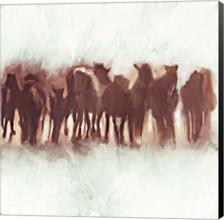 Framed Team of Brown Horses Running Print