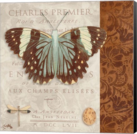 Framed Butterfly on Display II Print