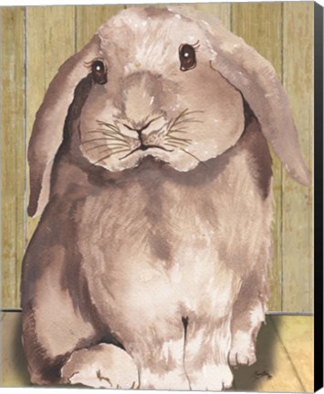 Framed Bunny II Print