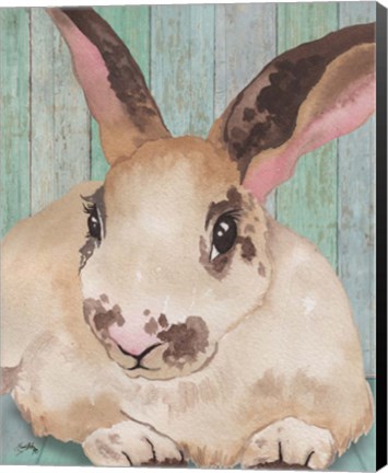 Framed Bunny IV Print