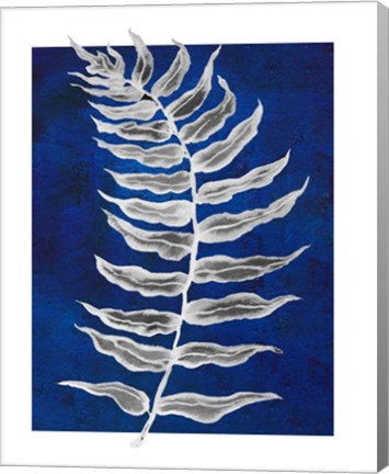 Framed Blue Fern in White Border I Print