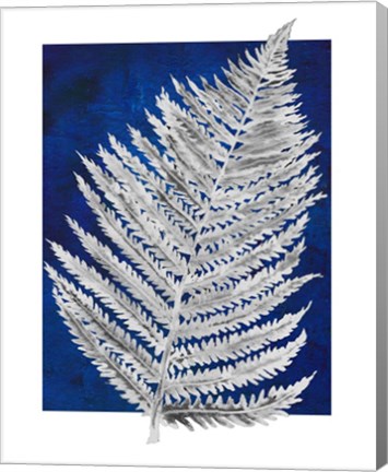 Framed Blue Fern in White Border II Print