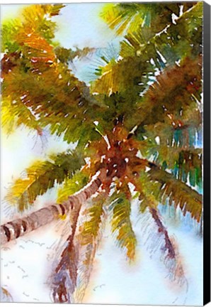 Framed Watercolor Palms II Print