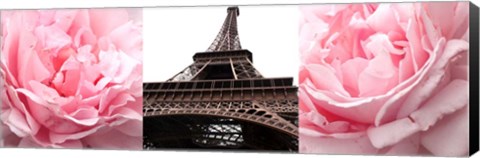 Framed Pink Roses Eiffel Tower Print