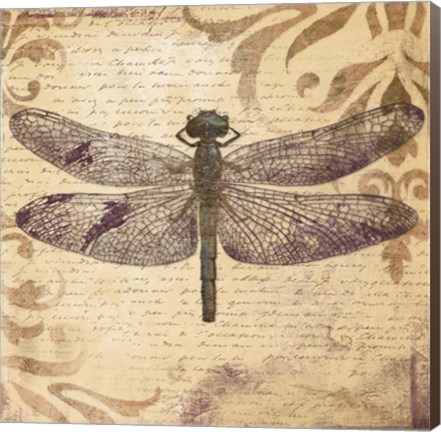 Framed Dragonfly Print