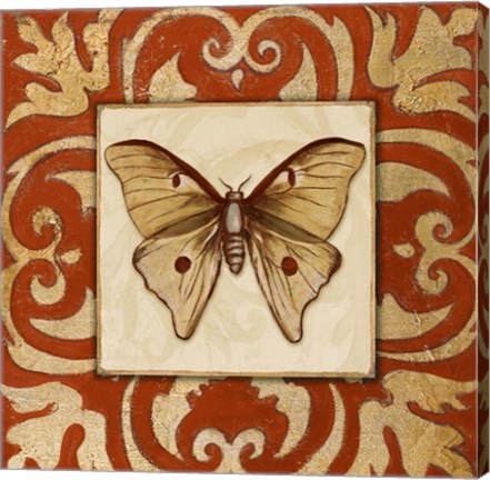 Framed Moroccan Butterfly II Print