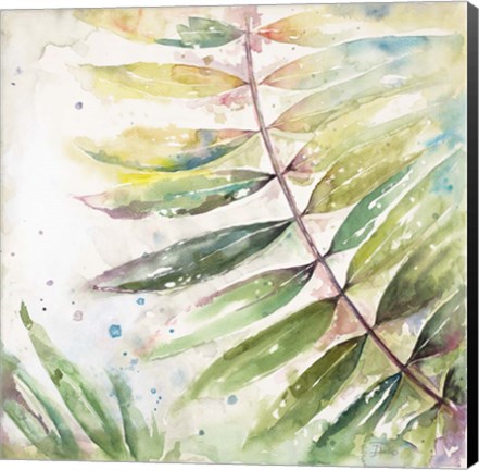 Framed Jungle Inspiration Watercolor II Print