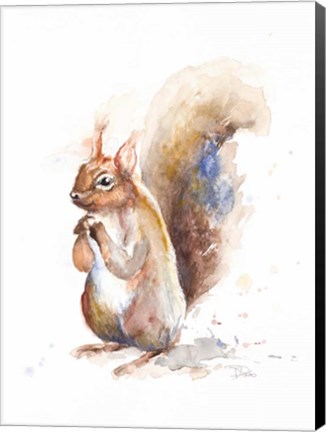 Framed Squirrel Print