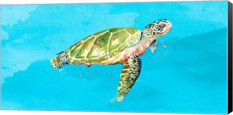 Framed Green Turtle on Light Blue Print