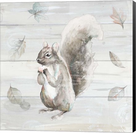 Framed Neutral Squirrel Print