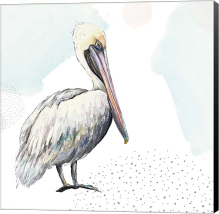 Framed Turquoise Pelican Print