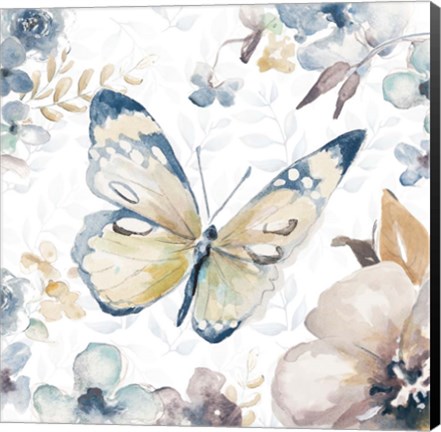 Framed Butterfly Beauty II Print