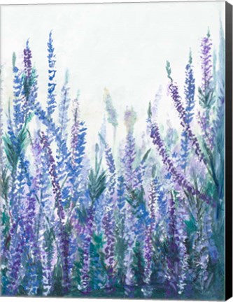 Framed Lavender Garden II Print