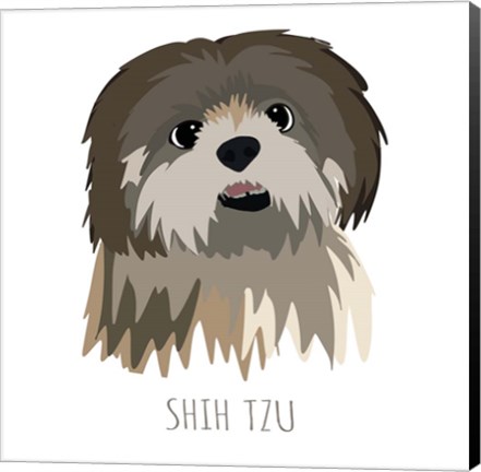 Framed Shih Tzu Print