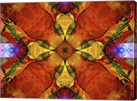 Framed Colorful Kaleidoscope 10 Print