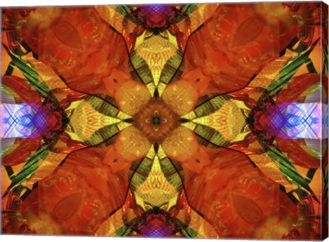 Framed Colorful Kaleidoscope 10 Print