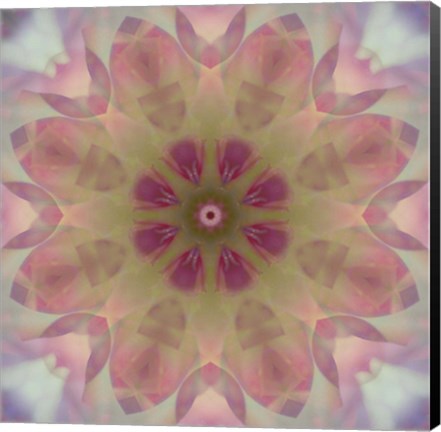 Framed Colorful Kaleidoscope 8 Print