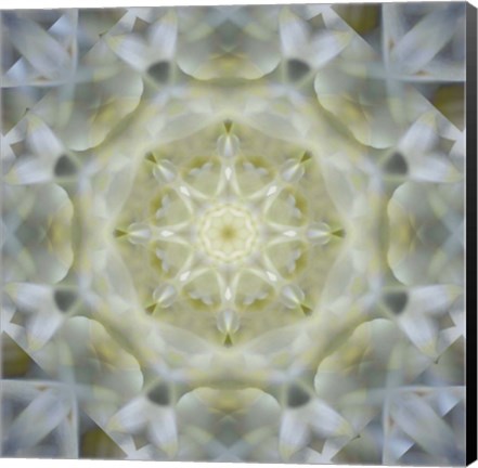 Framed Colorful Kaleidoscope 15 Print