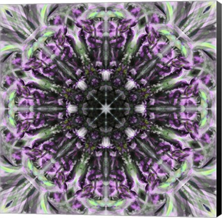 Framed Colorful Kaleidoscope 19 Print