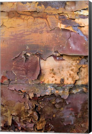 Framed Graffiti and Rust on Old Train Cars Print