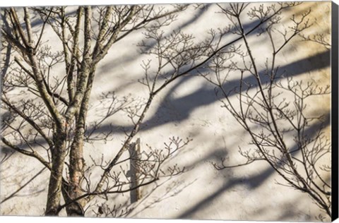 Framed Wall Detail, Nantucket Island Print