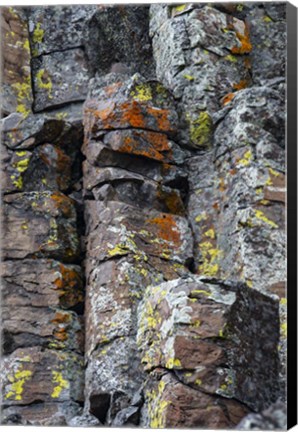 Framed Sheepeater Cliffs Detail, Yellowstone National Park Print