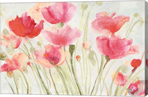 Framed Blush Poppies Print