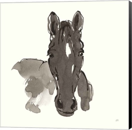 Framed Horse Portrait IV Print