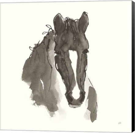 Framed Horse Portrait III Print