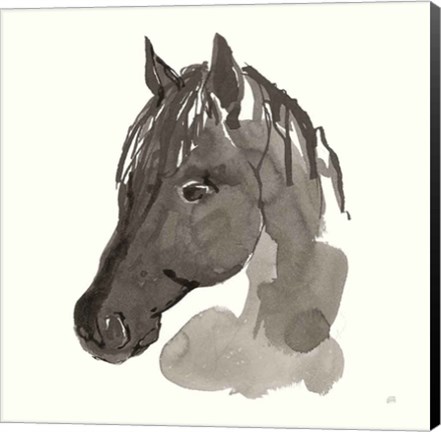 Framed Horse Portrait II Print