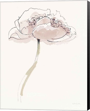 Framed Single Somniferums II Neutral Crop Print
