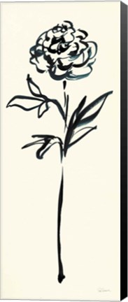 Framed Floral Line II on Cream Print