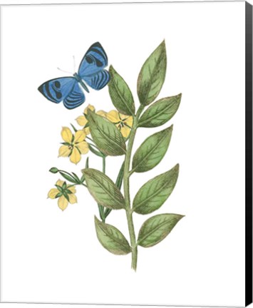 Framed Greenery Butterflies IV Print