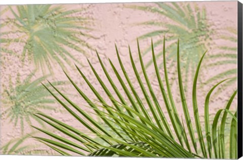 Framed Areca Palm In Front Of Painter Palm Mural Print