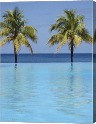 Framed Infinity Pool Surrounded By Palm Trees Print