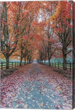 Framed Autumn Country Lane Print