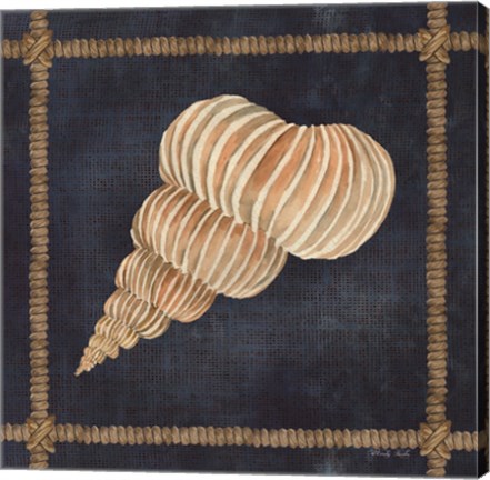 Framed Seashell on Navy III Print