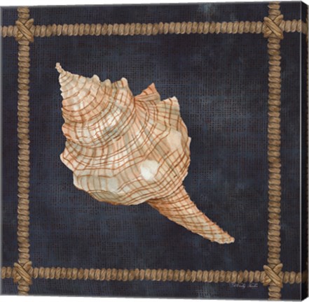 Framed Seashell on Navy IV Print