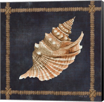 Framed Seashell on Navy V Print