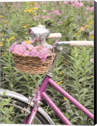 Framed Pink Garden Bike Print