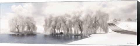 Framed Winter Willow Print